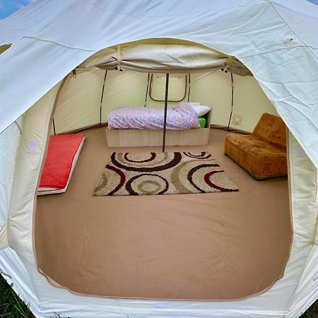 Camping La Foisor توردا المظهر الخارجي الصورة