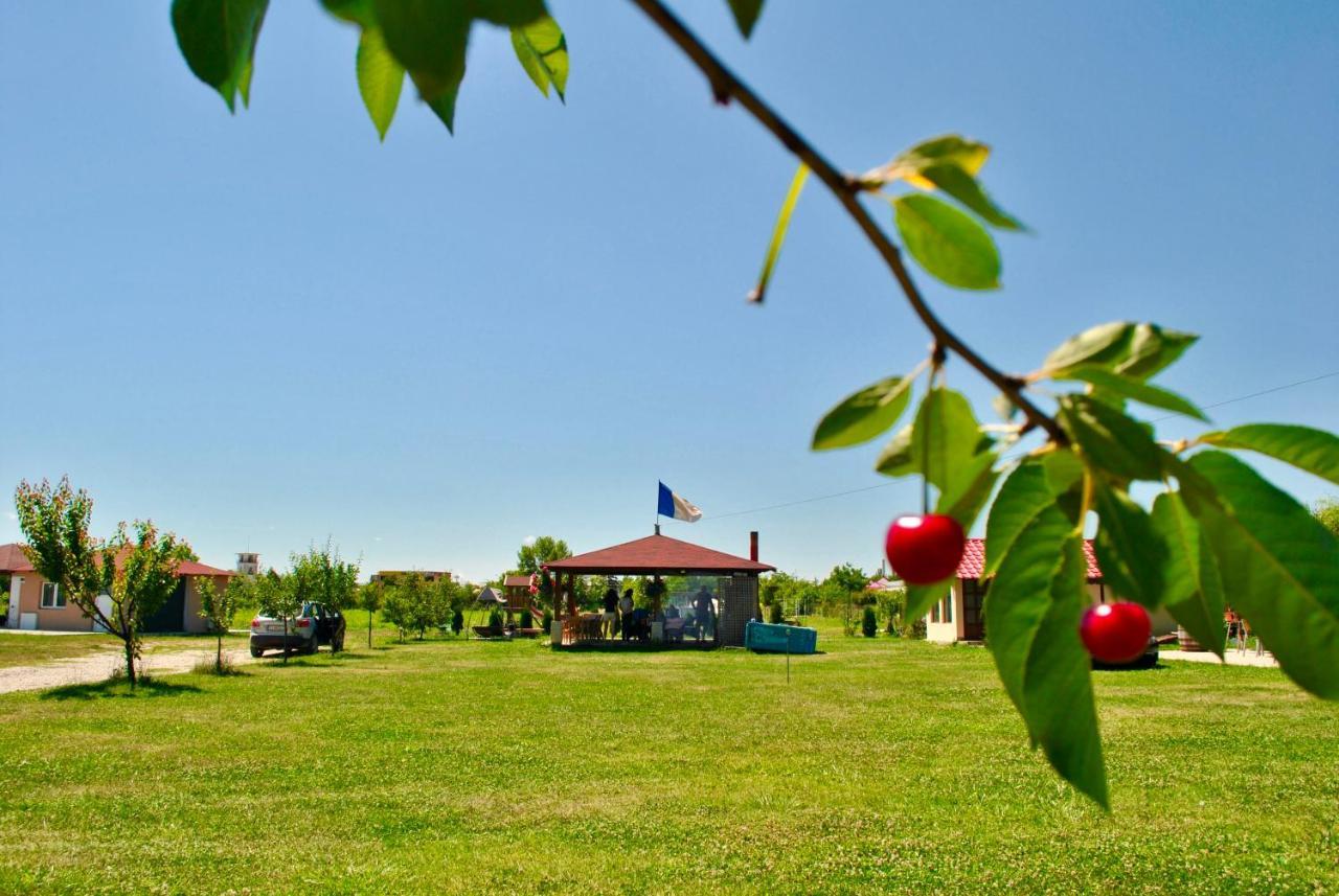 Camping La Foisor توردا المظهر الخارجي الصورة