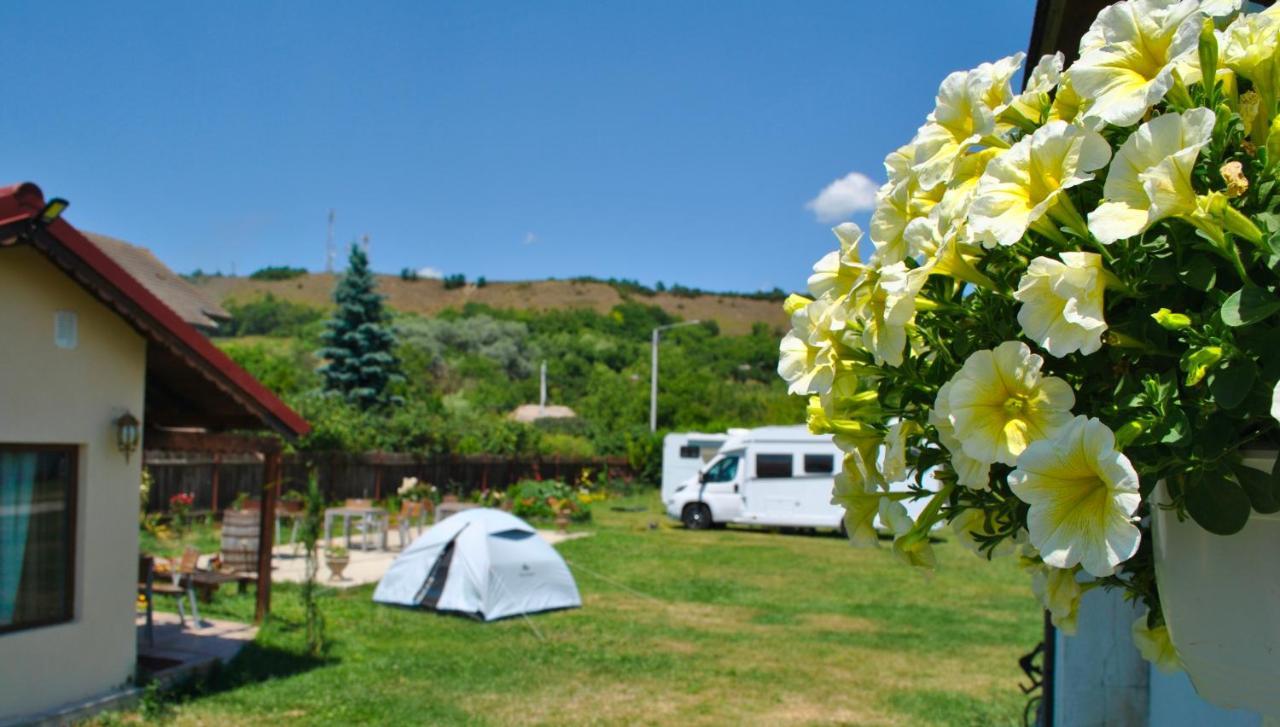 Camping La Foisor توردا المظهر الخارجي الصورة