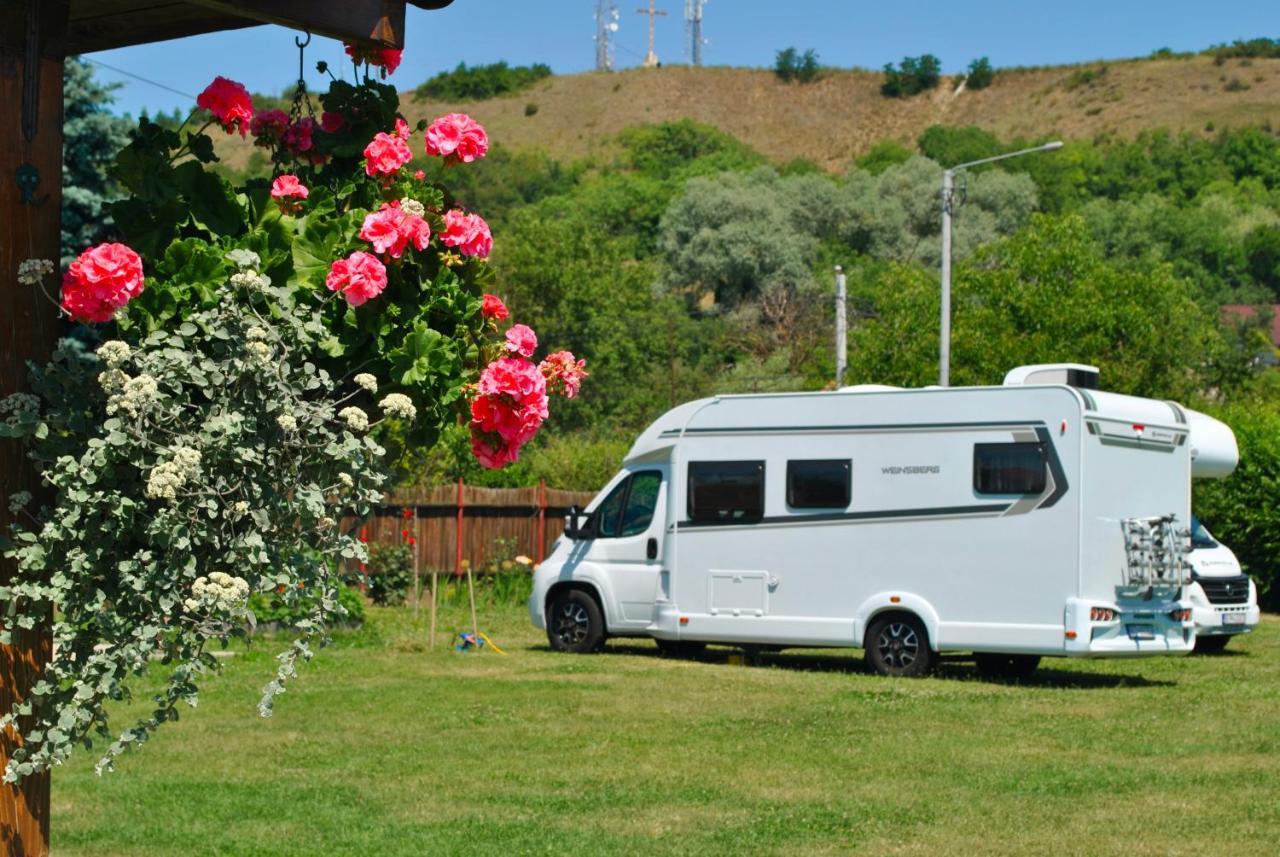 Camping La Foisor توردا المظهر الخارجي الصورة