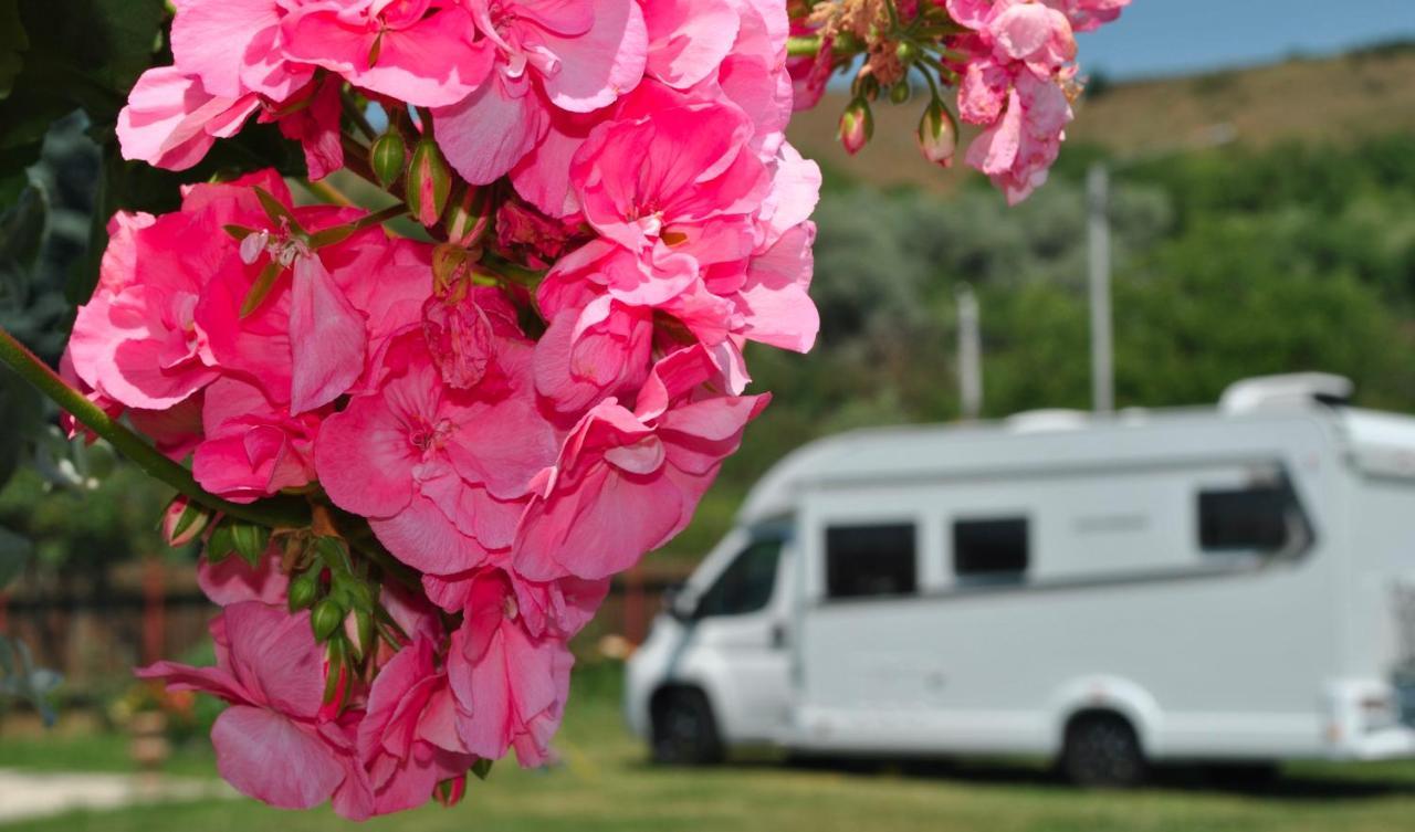 Camping La Foisor توردا المظهر الخارجي الصورة
